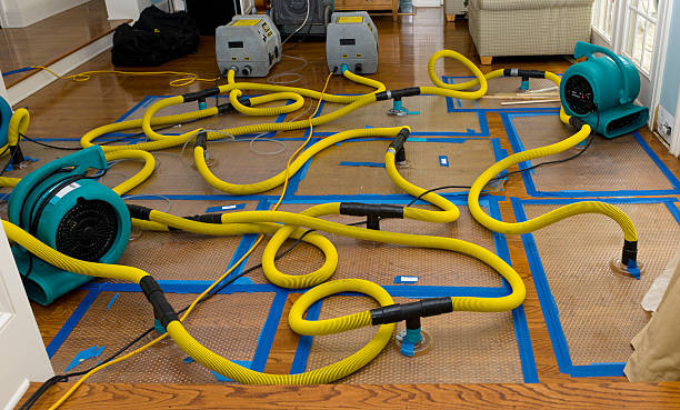 Professional Sewage Cleanup technician working in Byron, MN